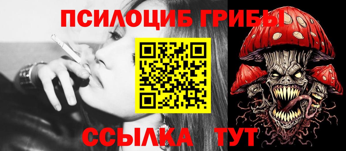 Вязники  Галлюциногенные грибы GOLDEN TEACHER  Вход с VPN  Псилоцибиновые грибы прущие грибы 